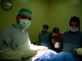 cosmetic surgery in qatar-case of rhinoplasty dr.kamal saleh