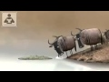 فيديو قصير عن عدم مجادلة الحمقى