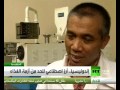 أندونيسيا أرز اصطناعي للحد من أزمة الغذاء
