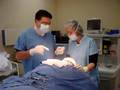 hair transplantation-dr. kamal salehزراعة الشعر