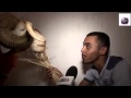 كبش  ب 40 مليون