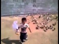 سرب من الدجاج البلدي يطالب الطفل بحقه