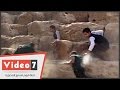 بالفيديو.. شاب ينقذ صديقه من السقوط أعلى هرم خوفو