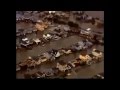 آثار الدمار الذي خلفه الاعصار ساندي في ولاية نيوجرسي