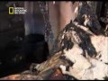 الاحتراق الذاتي للبشر… ظاهرة تحير العلماء ( فيديو )