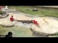 تمساح يقبض على رأس مغامر تايلاندي
