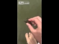 فيديو رجل يصطاد الأسماك بأصابع قدميه يحصد آلاف المشاهدات