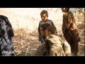 بالفيديو.. كيف كانت حياة جيمس فولي الذي قطعت "داعش" رأسه؟