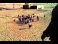 هندي يتفاهم مع الدجاج