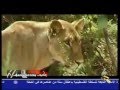 فعلت ما لم يتخيله بشر ولا يستوعبه